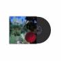 Feeble Little Horse - Hayday (LP+DL)