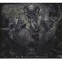 Suffering Souls - In Synergy Obscene