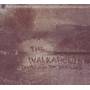 The Walkabouts - Travels In The Dustland