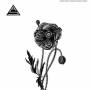 Ancient Shapes - Flower That Wouldnt Bloom