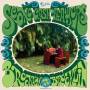 Scone Cash Players - Brooklyn To Brooklyn (LP+DL)