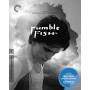 Criterion Collection: Rumble Fish - Rumble Fish/bd [US-Version, Regio 1/A]
