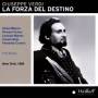 Warren - Forza Del Destino