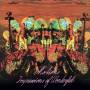 Motions - Impressions Of Wonderful
