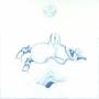 Devendra Banhart - Ape In Pink Marble