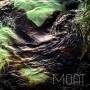 Moat - Poison Stream