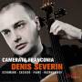 Denis Severin - Denis Severin & Camerata Franconia