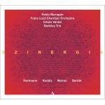 Pablo Barragn / Franz Liszt Chamber Orchestra / - SZINERGIA - Musik von Hartmann, Kodly, Weiner, Ba