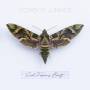 Cowboy Junkies - Such Ferocious Beauty (Tan Translucent Colored)
