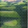 Henry Plotnick - Fields