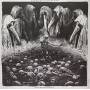 Putrisect / Scorched - Final State Of Existence