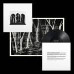 These New Puritans - Crooked Wing (LP)