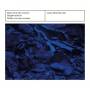 Music From The Acoustic Neighborhood - Donde son estas Serranas-Mysterious Songs of Love