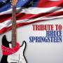 Various - Bruce Springsteen,Tribute To