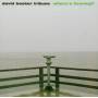 David Tribune Becker - Wheres Henning
