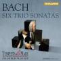 Tempesta Di Mare - Triosonaten BWV 525-530,bearb.fr Ensemble