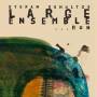 Stefan Schultze - Large Ensemble