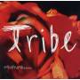 Gabrielle Roth & Mirrors - Tribe
