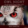 Erik Simmons - Owl Night