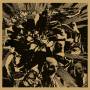 I I / Lihhamon - Miasmal Coronation (Split)