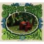 Scone Cash Players - Brooklyn To Brooklyn