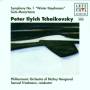 Samuel Friedmann - Sinfonie 1/Suite 4