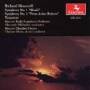 Honoroff / Moscow Radio So / Mikhailov - Symphony 1: Shoah / Symphony 2: From Ashes Reborn