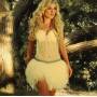 Emily - Les Nuits D'emily