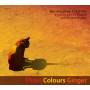 Brongaene Griffin - Three Colours Ginger