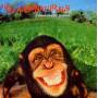 The Supernaturals - IT DOESN'T MATTER ANYMORE