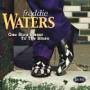FREDDIE WATERS - One Step Closer To The Blues