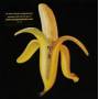 The Dandy Warhols - Welcome To The Monkey House