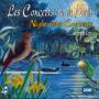 Sons De La Nature - Night Concerts