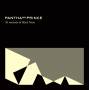 Pantha Du Prince - XI Versions Of Black Noise