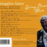 Boogaloo Ames - Going Down Slow