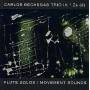 Carlos Bechegas -project - Flute Solos/movements...