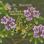 Mr. Morning - The Sweet Scent of Butterflying