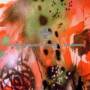 Various - Axiom: Reconstructions & Vexations