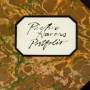 Richie Havens - Portfolio
