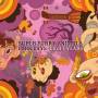 Super Furry Animals - Dark Days/light Years