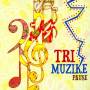 Tri Muzike - Pause