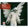 Giebel / Hffgen / Thomanerchor / GOL / + - Magnificat/Kantaten BWV 51,59