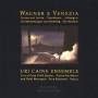 Uri Ensemble Caine - Wagner E Venezia