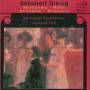 Jonathan Nott / Bamberger Symphoniker - Schubert Dialog
