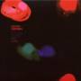 David Grubbs - Optimist Notes The Dusk
