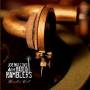 Joe Mullins & Radio Ramblers - Ramblers Call
