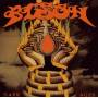 Bison B.c. - Dark Ages