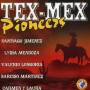 V / A - Tex-Mex Pioneers