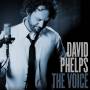 David Phelps - Voice