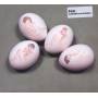 Schneeweiss Und Rosenrot - Pool